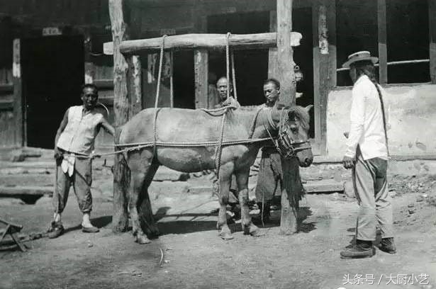 老北京东来顺涮肉讲解,东来顺老北京涮肉