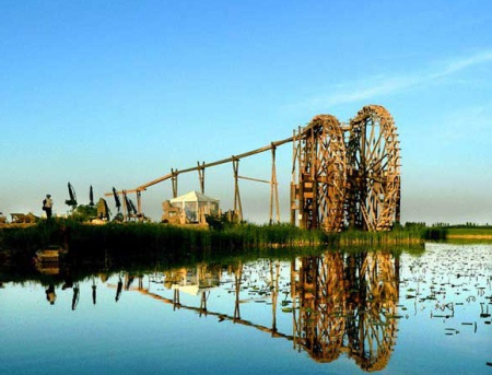 鸣翠湖万人植树节来袭，这里有颗樱花树等你来认领！