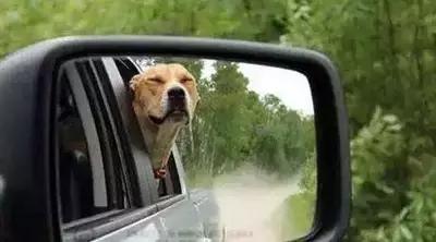 汽车在路上没油了怎么办,汽车快没油了会出现怎样的图案