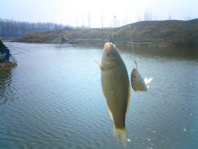 钓鱼老手比较擅长的两种传统钓法,新手野钓入门基本知识河钓