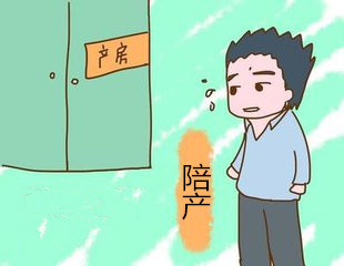 生孩子陪产只能一人吗,生孩子都是几个人陪