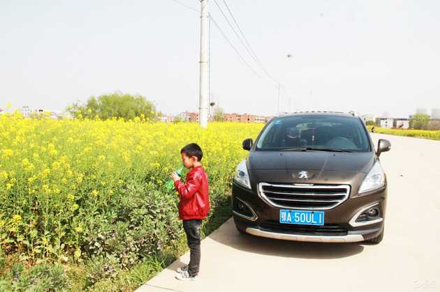 标致5008车主用车感受,标致4008车主真实感受