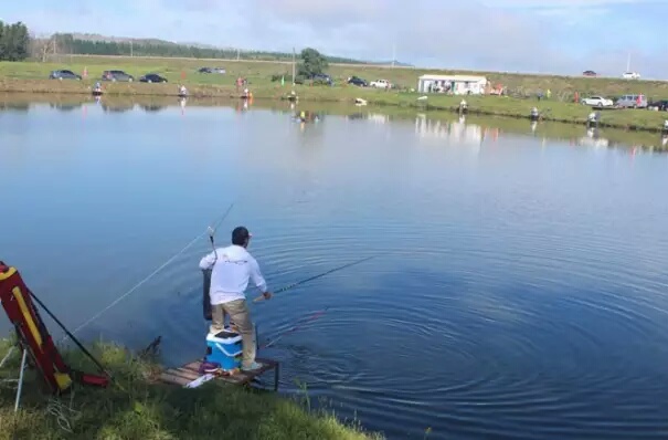 看浮漂提竿技巧视频教学详解,浮漂看吃口