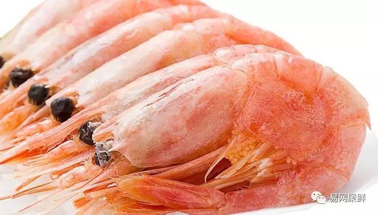 全球最优质的北极甜虾,正宗日本北极虾