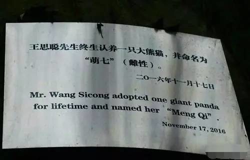 王思聪女友张小蒙个人资料,王思聪前女友张小蒙直播