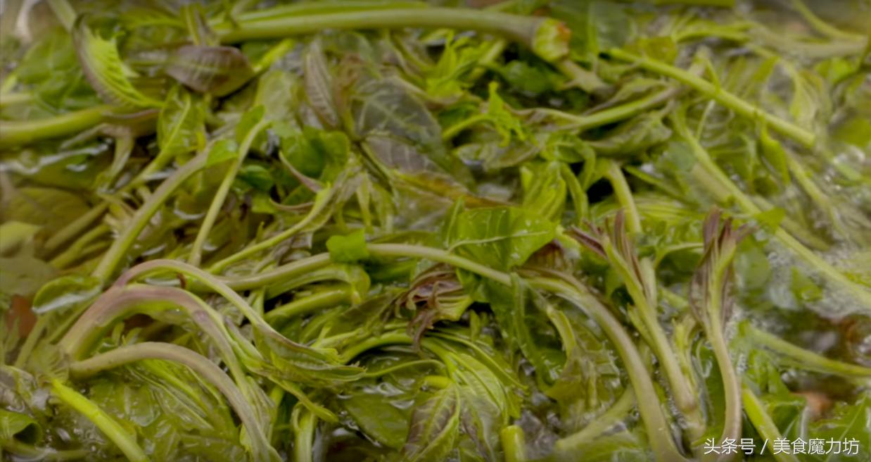 香椿怎么腌制好吃保存时间还长,如何腌制香椿好吃能久放不坏