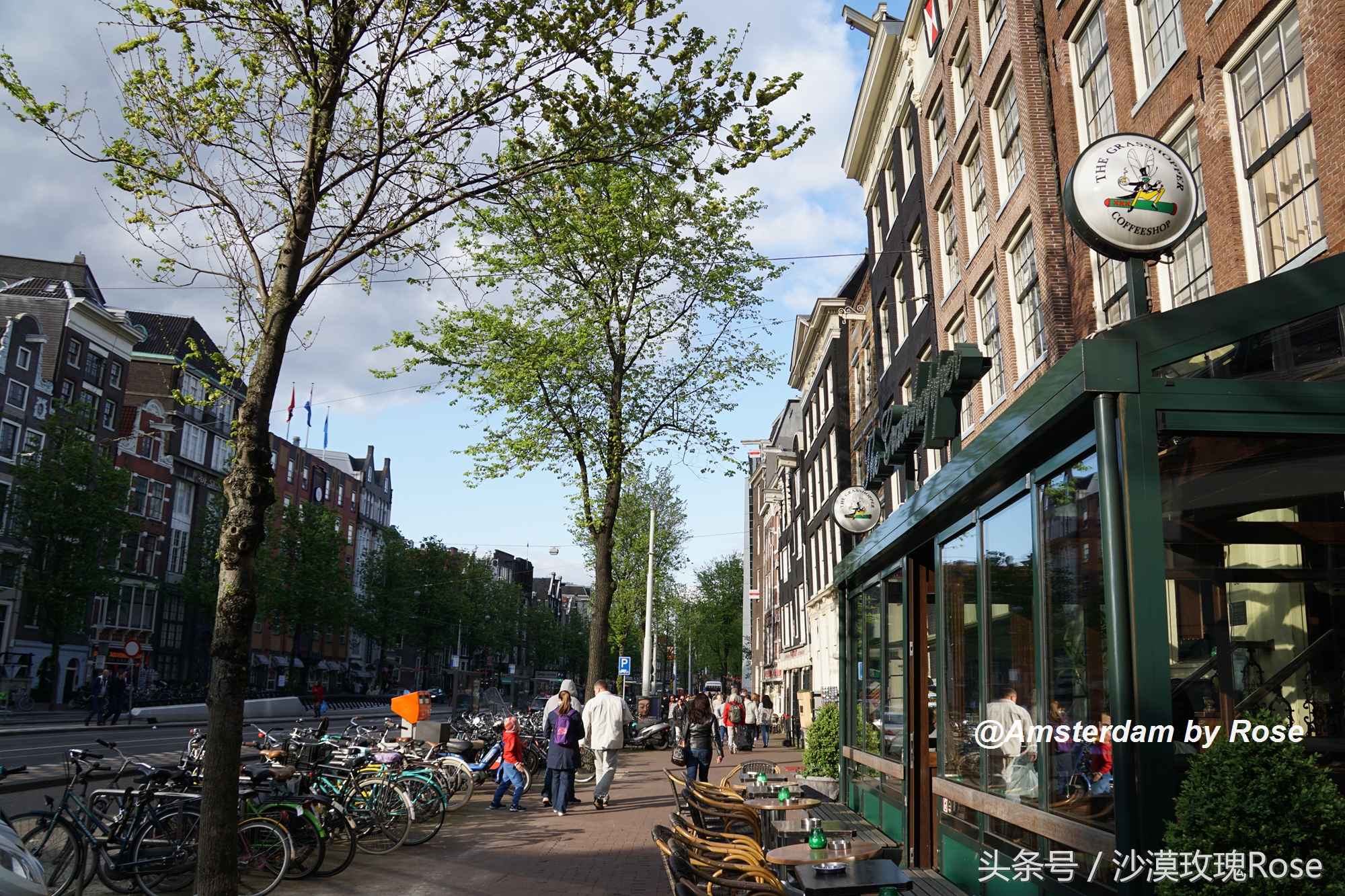 建在水上的鲜花市场，荷兰女王也骑车来买花