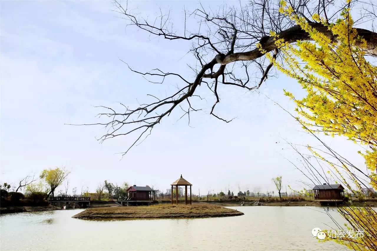 定了！从今天起，如皋白蒲古镇将列入每个人的旅行清单！