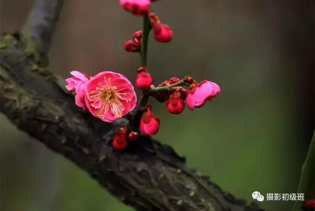 基础摄影知识教学,基础学摄影从入门到精通