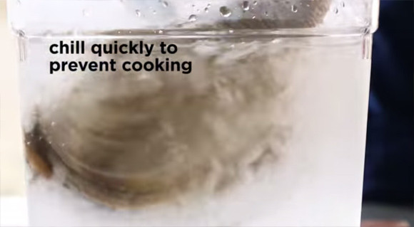 捕捞到各种鱼,捕捞到岸分拣