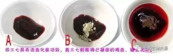 正宗三七价格多少钱一斤,三七的价格是多少钱一斤