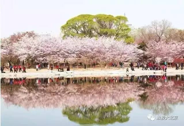 4月整整11天假!瓷器们,这些好消息请查收!