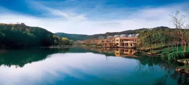 大开发商扎堆的地方未来怎么样,大开发商远郊集中拿地