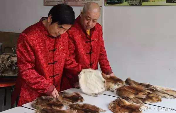 中企动力故事汇：你的脸看起来没那么重要