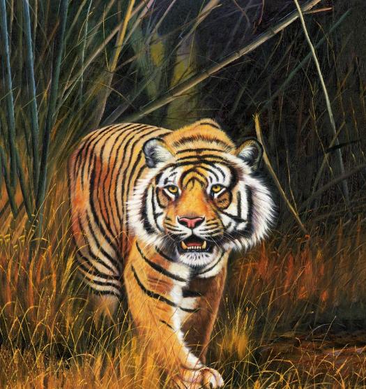 1986年炉中火属虎2024年运势,1986年四月属虎炉中火命缺金