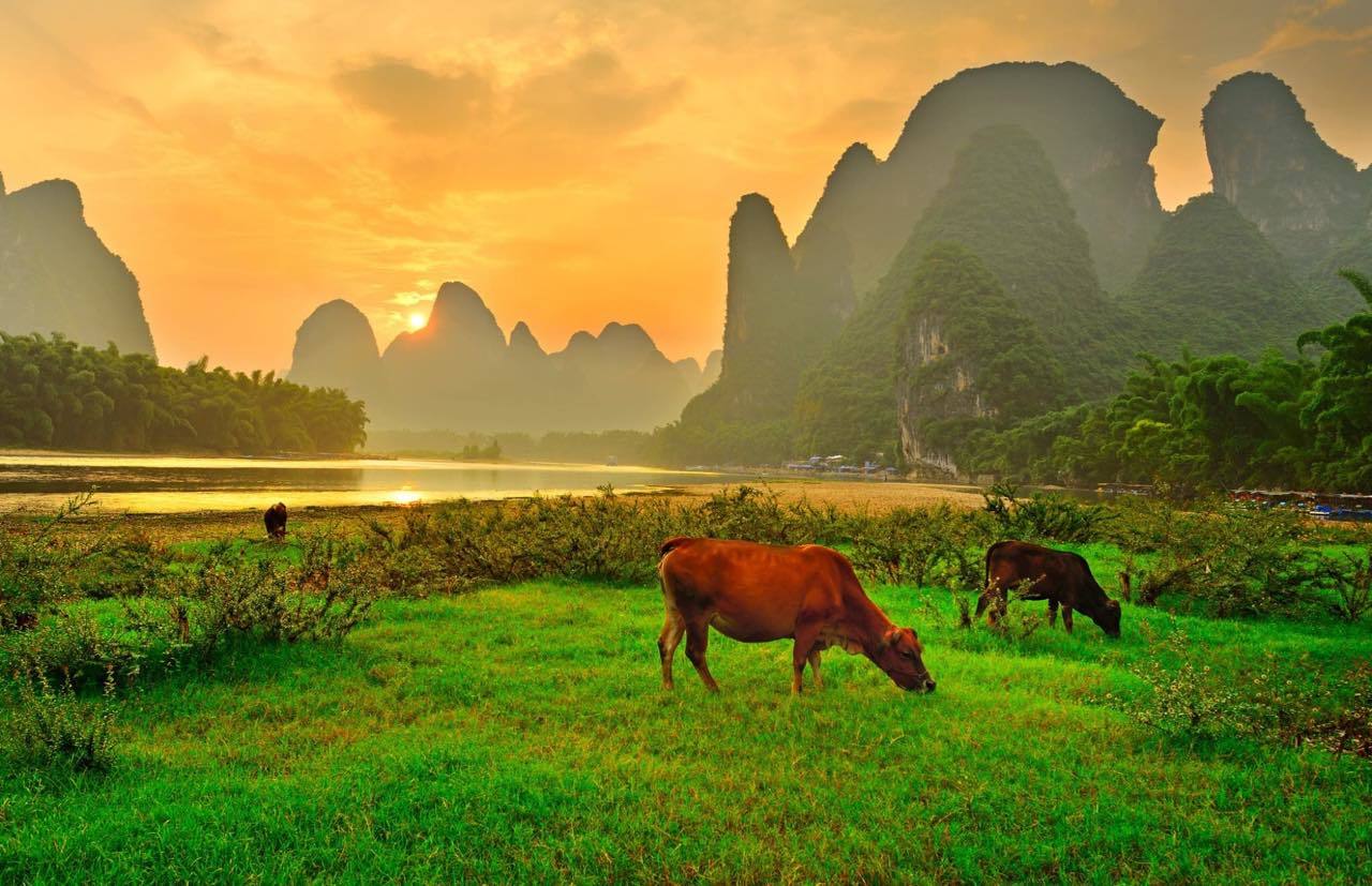 最好的童年是在乡村度过的,你是否感受过这样的田园生活