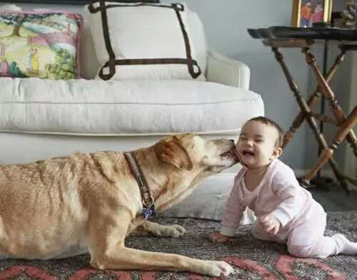 最简单的生意思维方法,分享一些营销思维