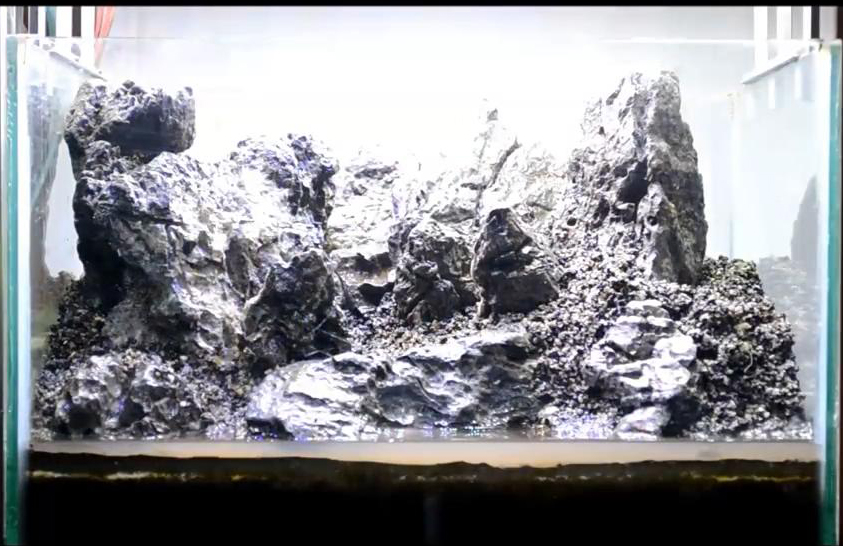 家居草缸｜都玩三湖缸看了这个开缸流程才知道石头景可以更美