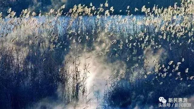 沙家浜，竹林幽径渔翁垂钓芦荡涛声