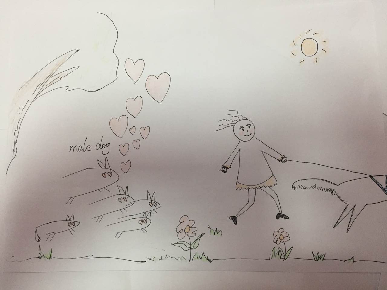 宠物狗怎么护理大姨妈,你们知道狗狗也会有母爱情绪吗