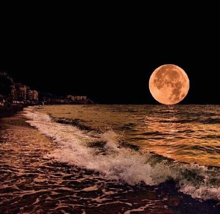 三毛极美的九句话道尽人生,三毛的话惊艳了时光温暖了岁月