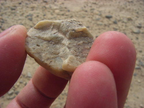 和田玉切割石头,和田玉籽料游记