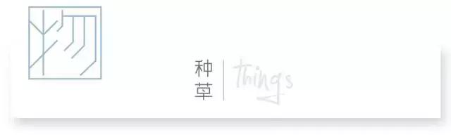 肉测,发泥发蜡湿发