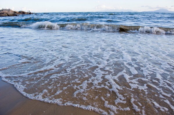 清明深圳周边一日游好去处,深圳仙湖植物园清明踏青赏花