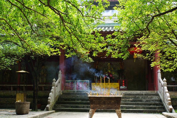 清明深圳周边一日游好去处,深圳仙湖植物园清明踏青赏花