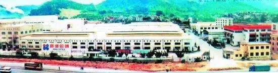 匹凸匹股票事件案例分析,巨亏超400亿