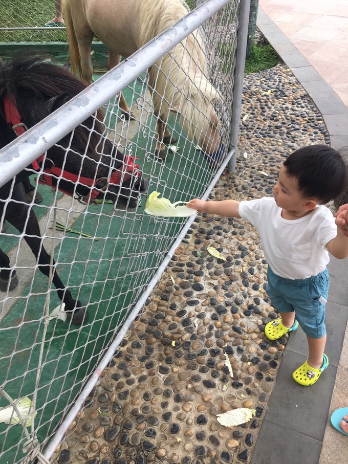 去三亚旅游美食攻略自由行,三亚亲子度假攻略四天三晚嗨翻天