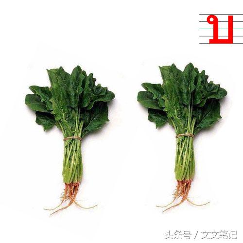 有趣的记忆法和技巧,有趣的记忆方法视频