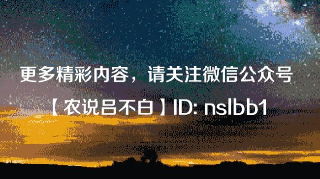 马云的村淘,马云村淘