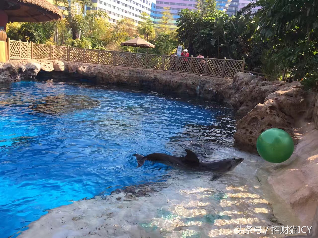 珠海长隆奇幻之旅,广州珠海长隆两天一夜攻略