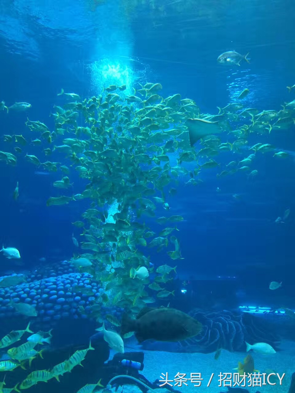 珠海长隆奇幻之旅,广州珠海长隆两天一夜攻略