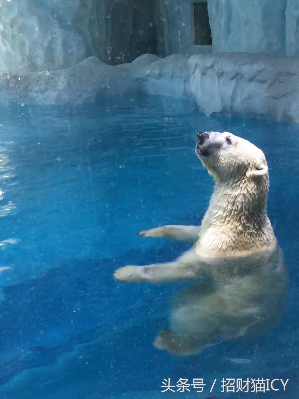 珠海长隆奇幻之旅,广州珠海长隆两天一夜攻略