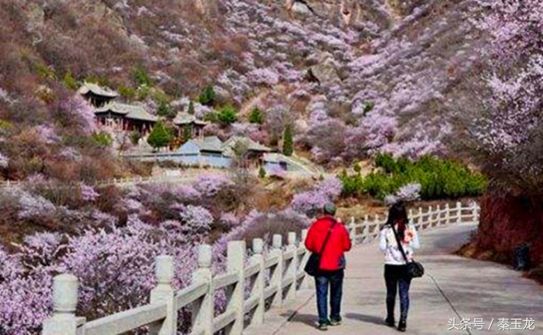 甘肃平凉的平凉话,平凉泾川县话