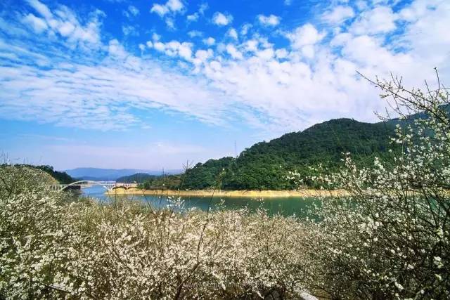 广州清明节假期旅游攻略路线推荐,清明节旅游推荐广州