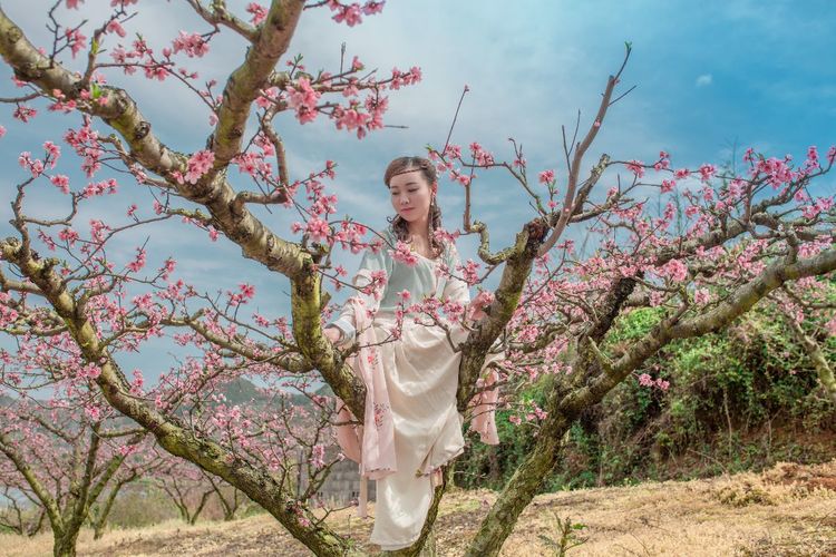 嗨哩文旅怎么样,嗨哩文旅最新视频