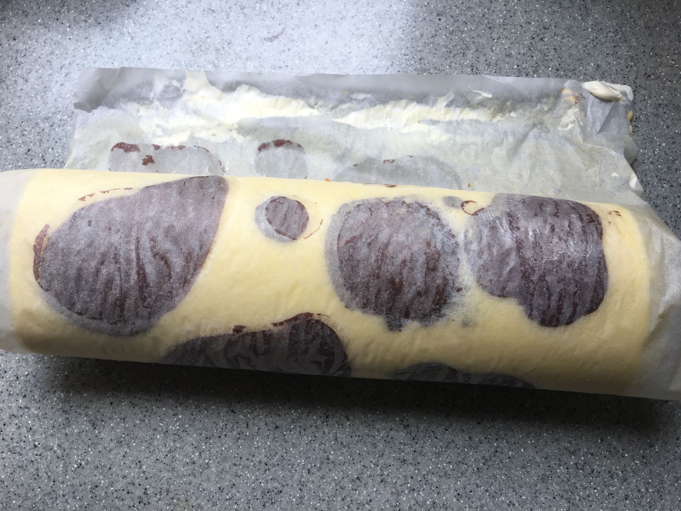 黑白花奶牛与娟姗奶牛的区别,黄白花奶牛好还是黑白花奶牛好