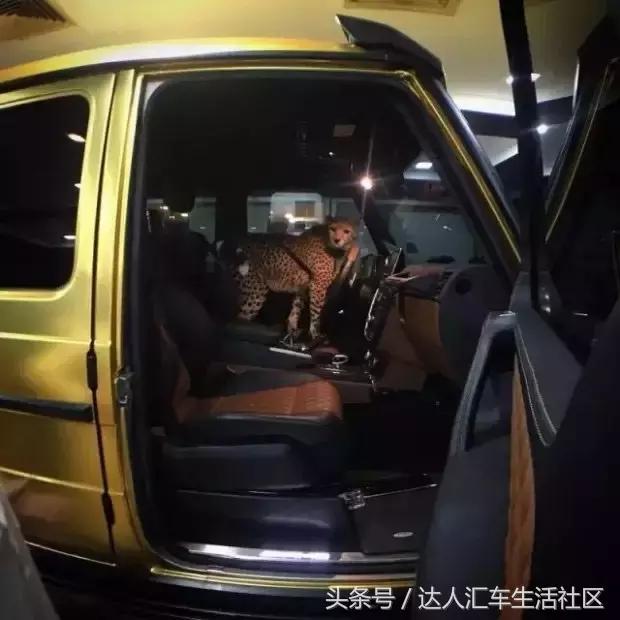 达车趣:自己能带的就尽量不麻烦别人,实在不行租400辆奔驰吧