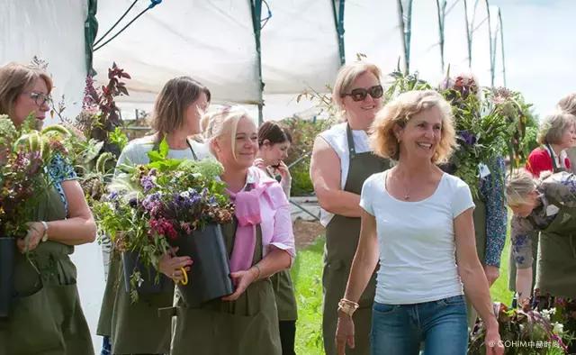 花艺行业如何借力发展,花艺行业发展现状