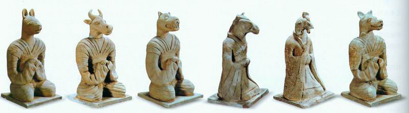 聊聊我们最熟悉的黄芩,熟记十二属相的技巧