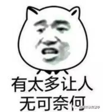 明明在澳洲吃土，你却说我是行走的RMB，留学生的钱都花哪去？