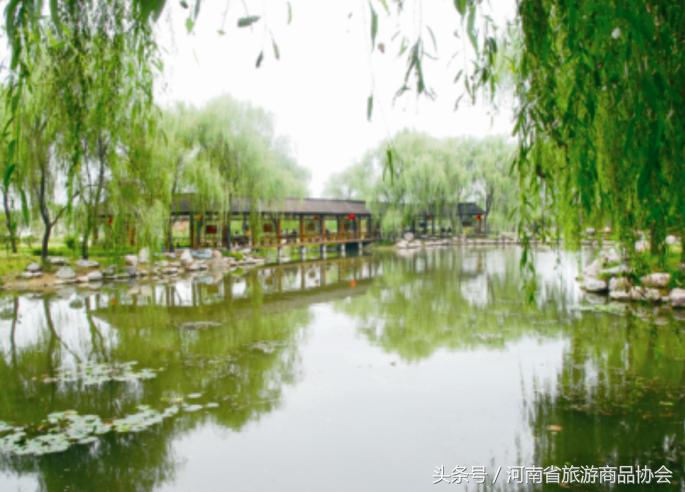 听不懂的故事视频大全,听不完故事说不完