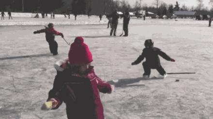 成年袋鼠打架时哪个部位支撑身体,袋鼠和袋鼠为什么喜欢打架