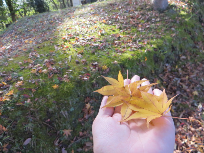 友情真的是一种缘分,一段从未谋面的友谊