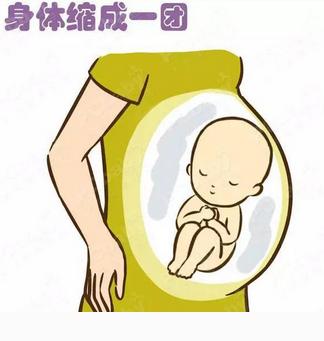 宝宝胎动的视频,胎儿35周胎动动作大