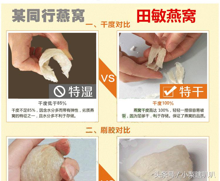 大家太热情如何幽默回应,燕窝在印尼