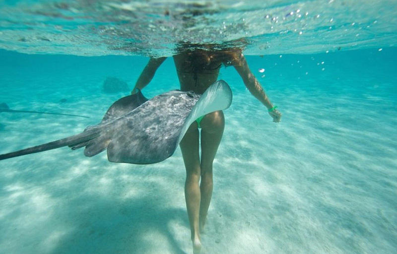 去三亚玩潜水的危害,去海岛潜水需要带什么